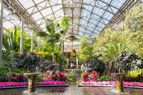 A conservatory with plants flowers and fountains in a symmetrical layout under a glass ceiling
