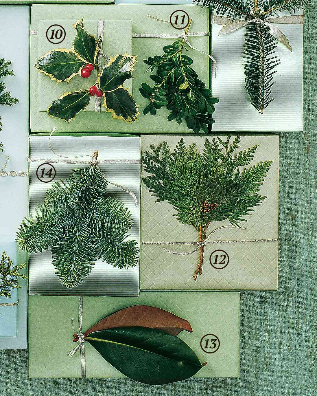 evergreens