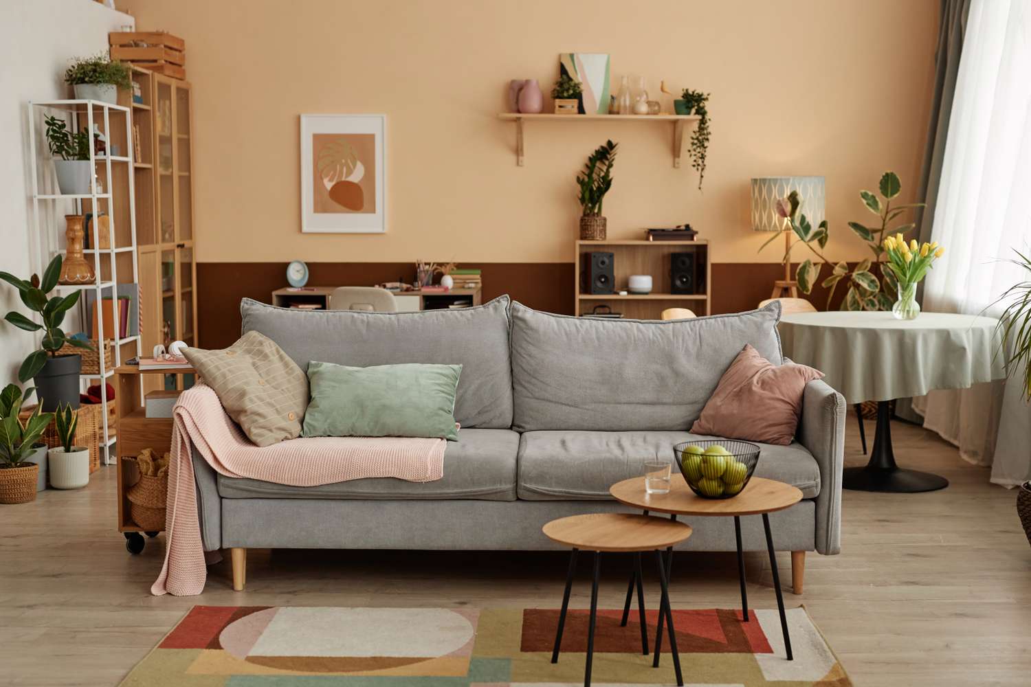 Cozy living room setup with a sofa coffee tables shelves and plants