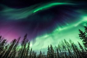 The northern lights above a forest with silhouetted trees