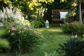 A garden scene with flowers grass a bench and a lantern