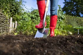 Gardener in red boots digging over soil with shovel