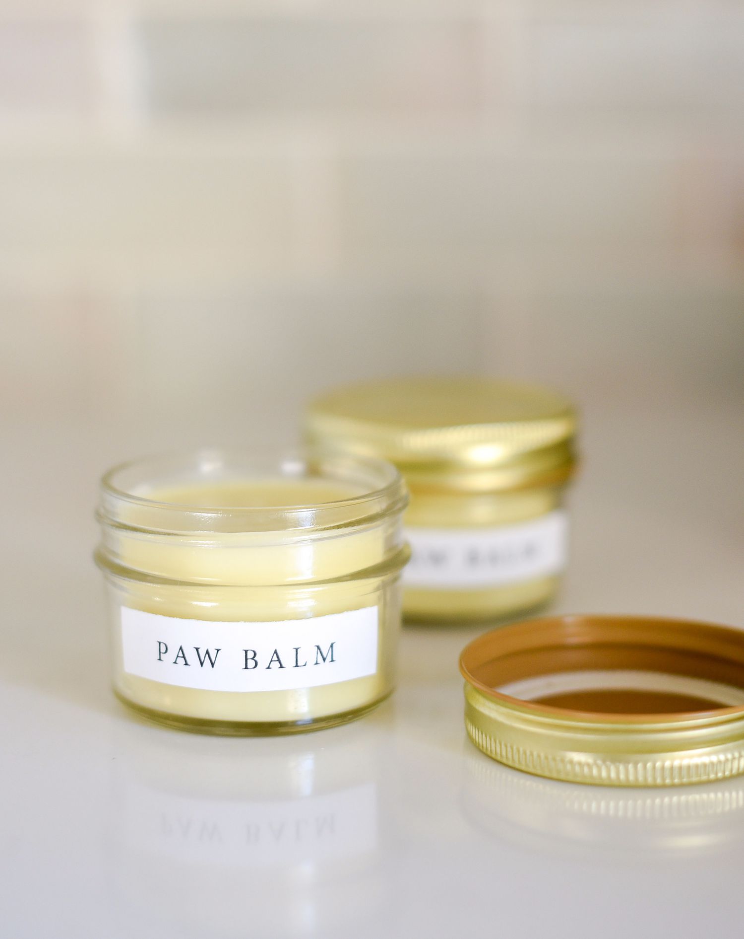 paw balm small jars