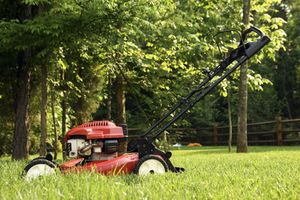 Manual push lawn mower in a grassy yard with trees and a wooden fence in the background