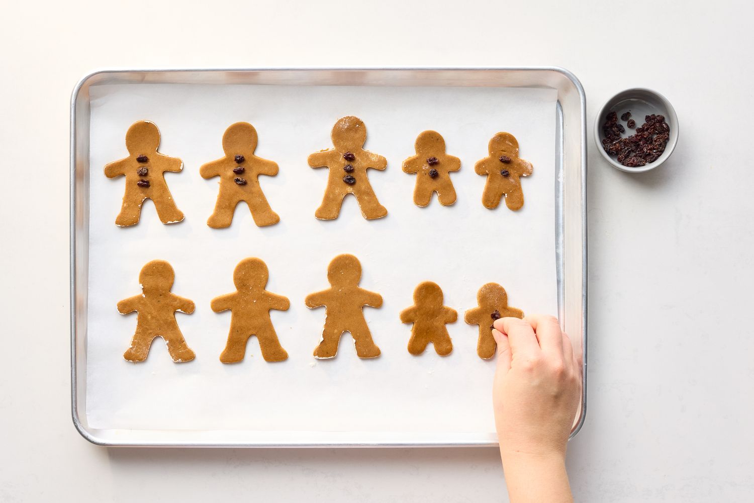 A tray of unbaked gingerbread cookies being decorated with chocolate chips