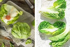 Two types of lettuce including iceberg on the left and romaine on the right