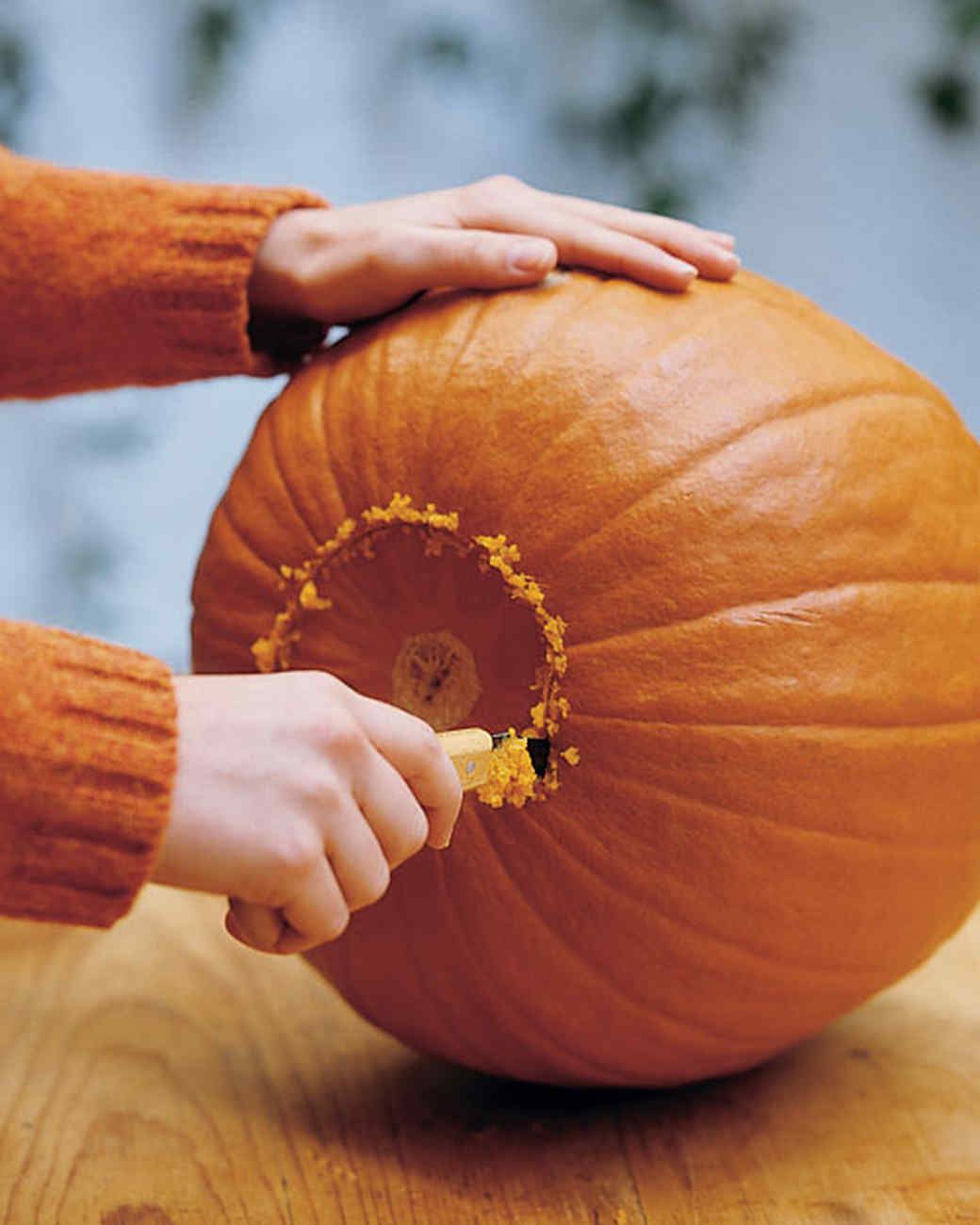 la102831_1007_pumpkinht1_hd