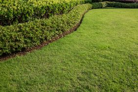 A neatly trimmed lawn bordered by hedges forming a curved pattern