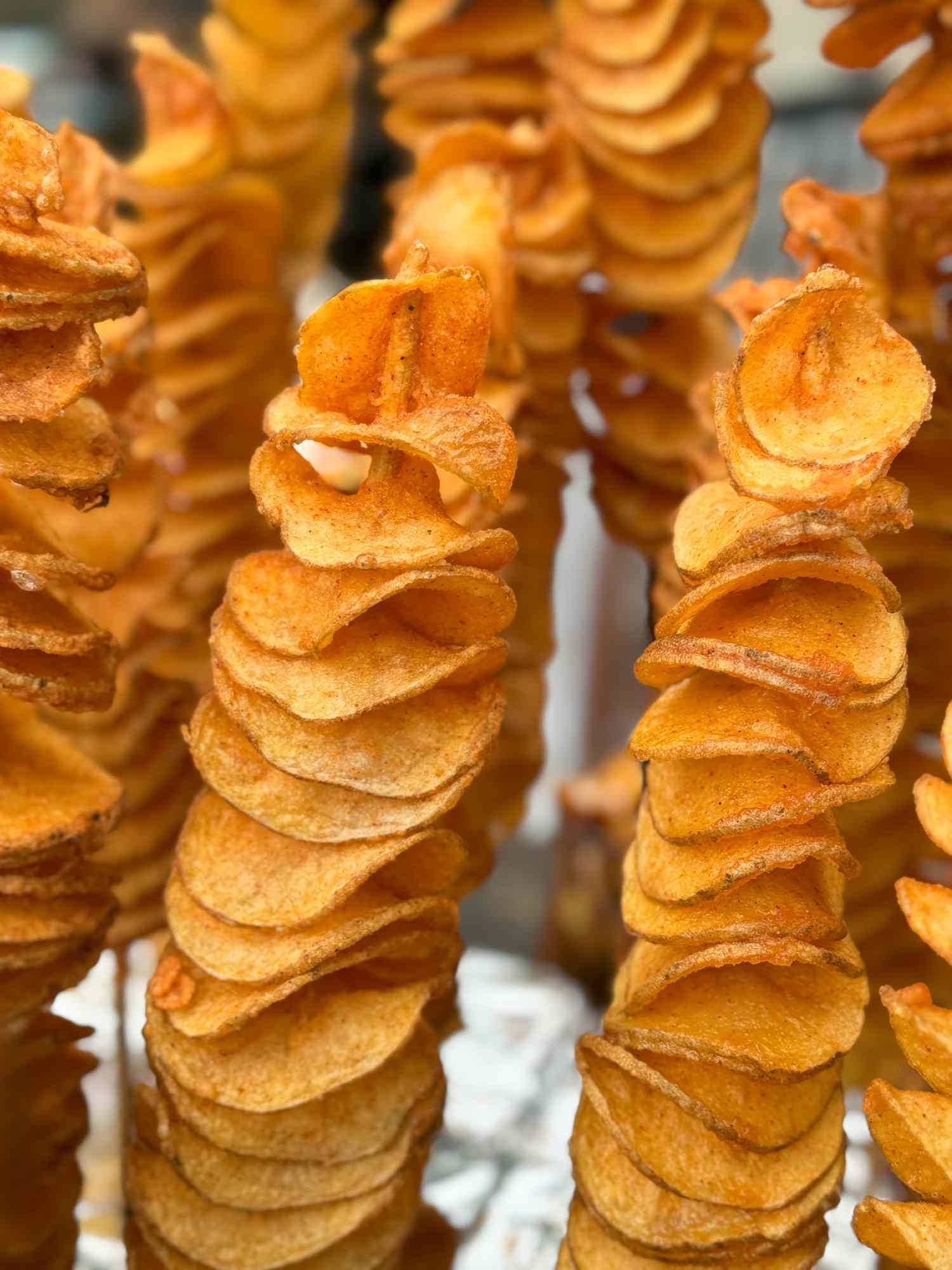 tornado fries on wooden skewers