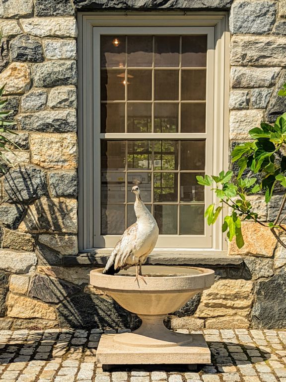 decorvow bedford peacock bird bath