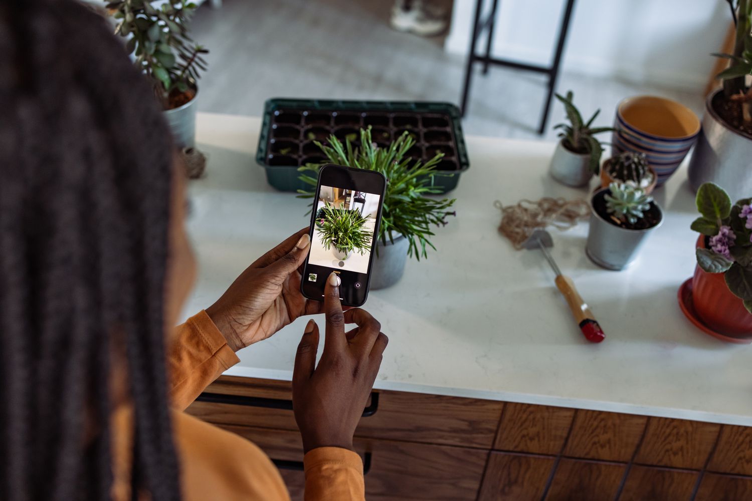 Woman taking a picture of a potted plant