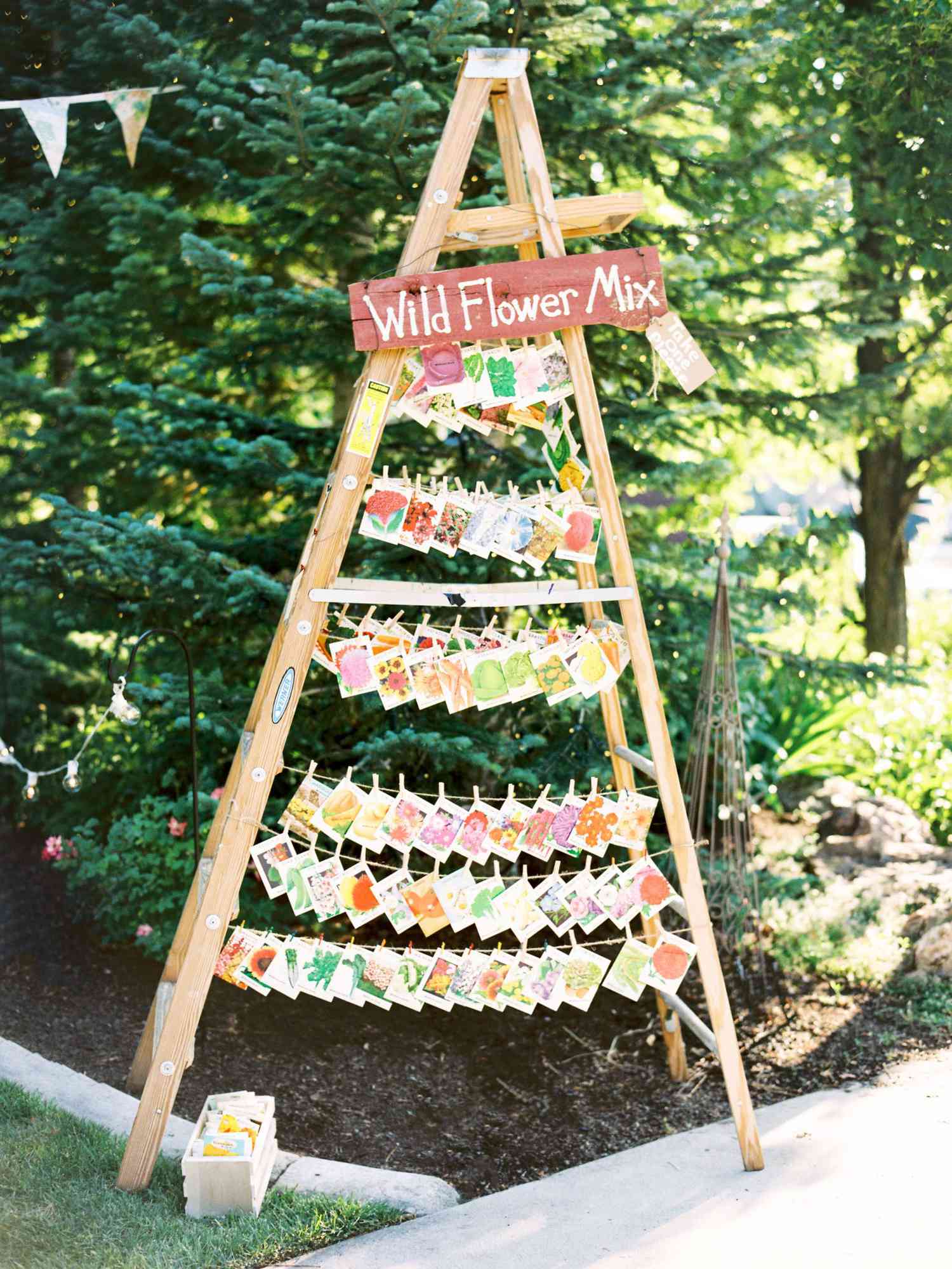 ladder favor display