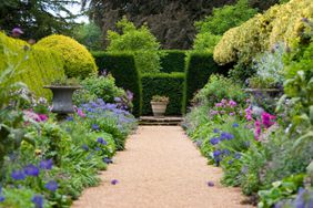 walkway through cottage garden