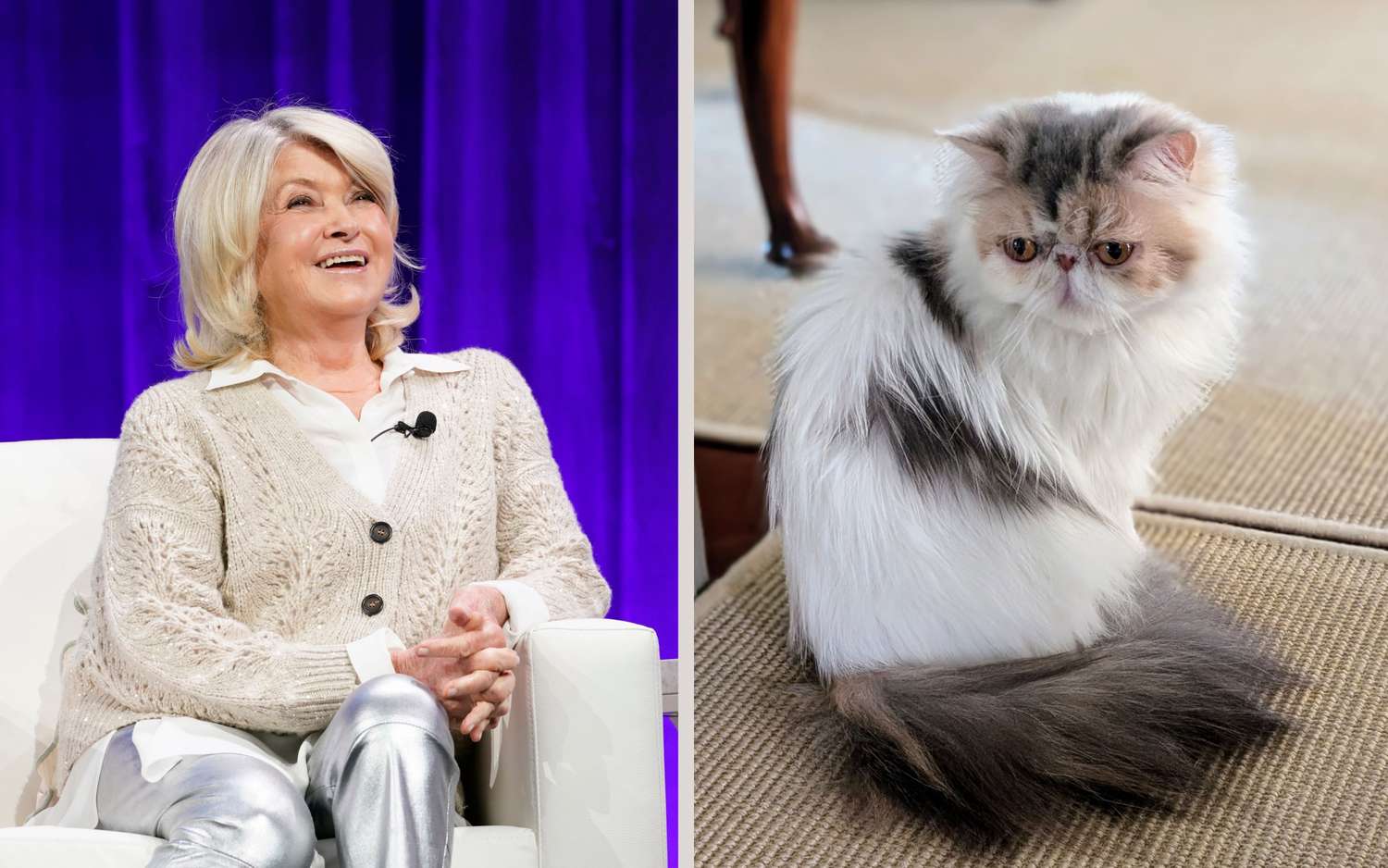 decorvow on left and a cat on right split image composition