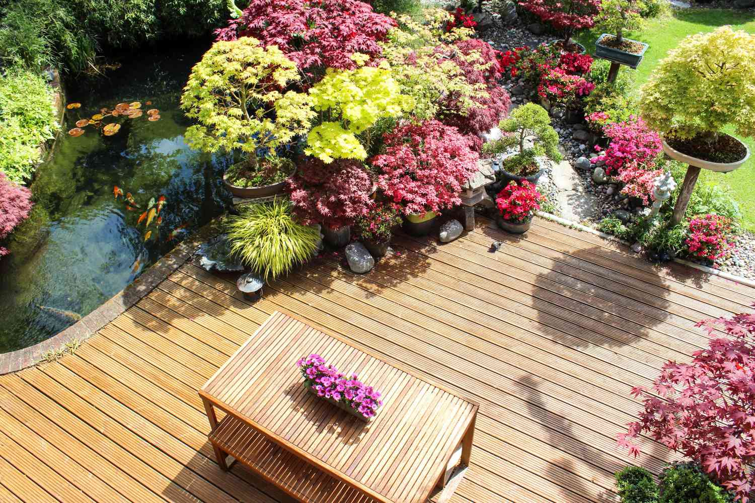 Photo showing a landscaped contemporary Japanese garden with a large expanse of pre-treated timber decking, providing a family space for outdoor furniture - a modern slatted table and benches.
