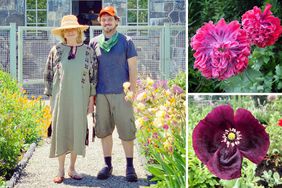 decorvow, Ryan McCallister