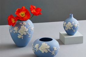 Jasperware Wedgwood vases