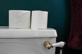 Toilet with toilet rolls on top of the tank