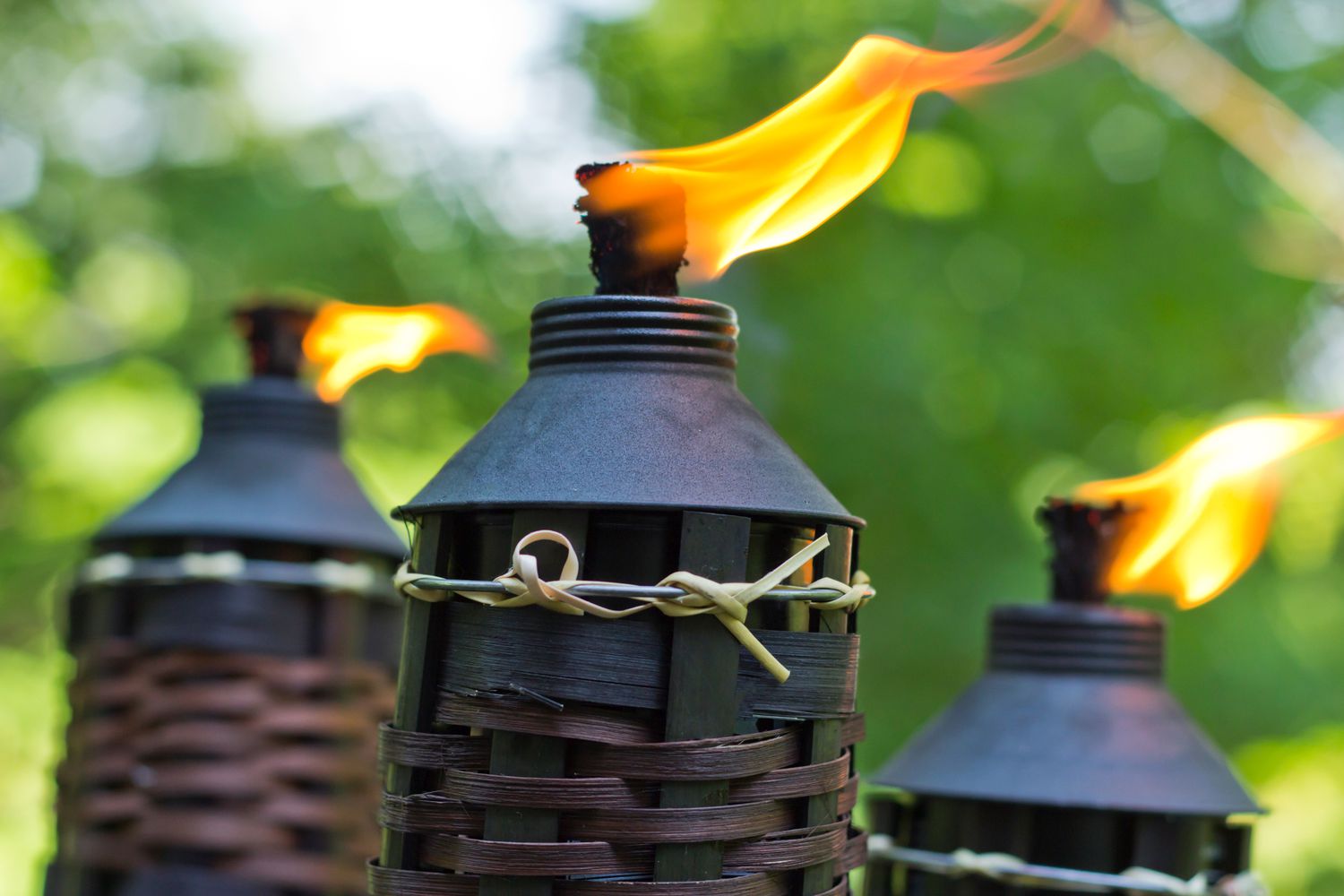 Citronella bamboo torch for bugs