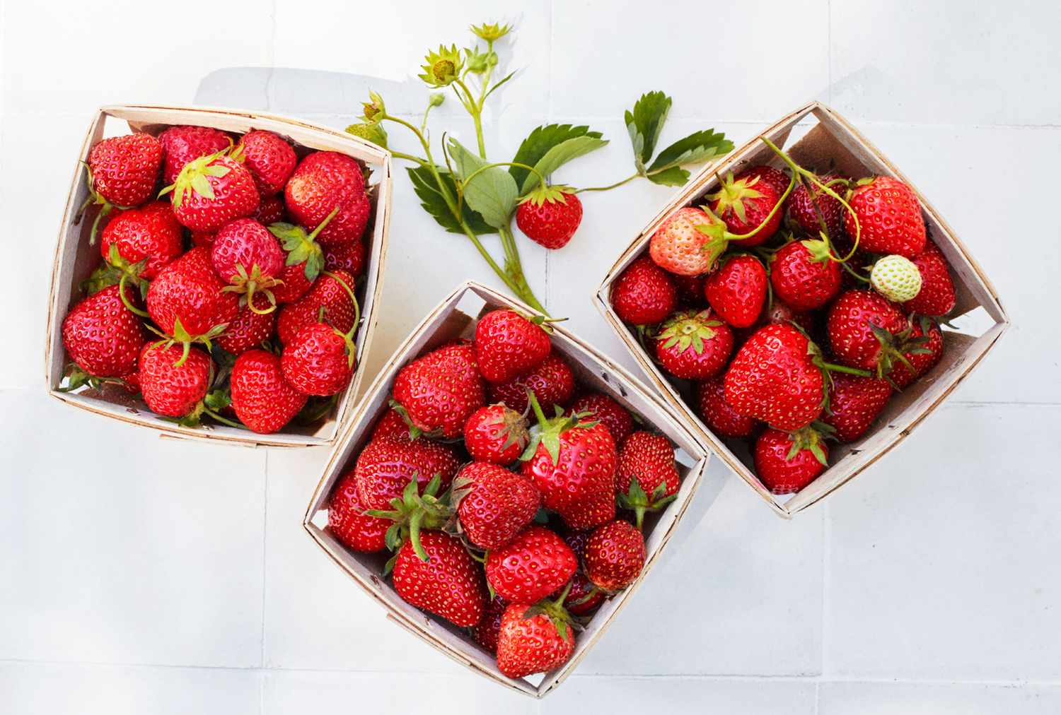 Strawberries in containers