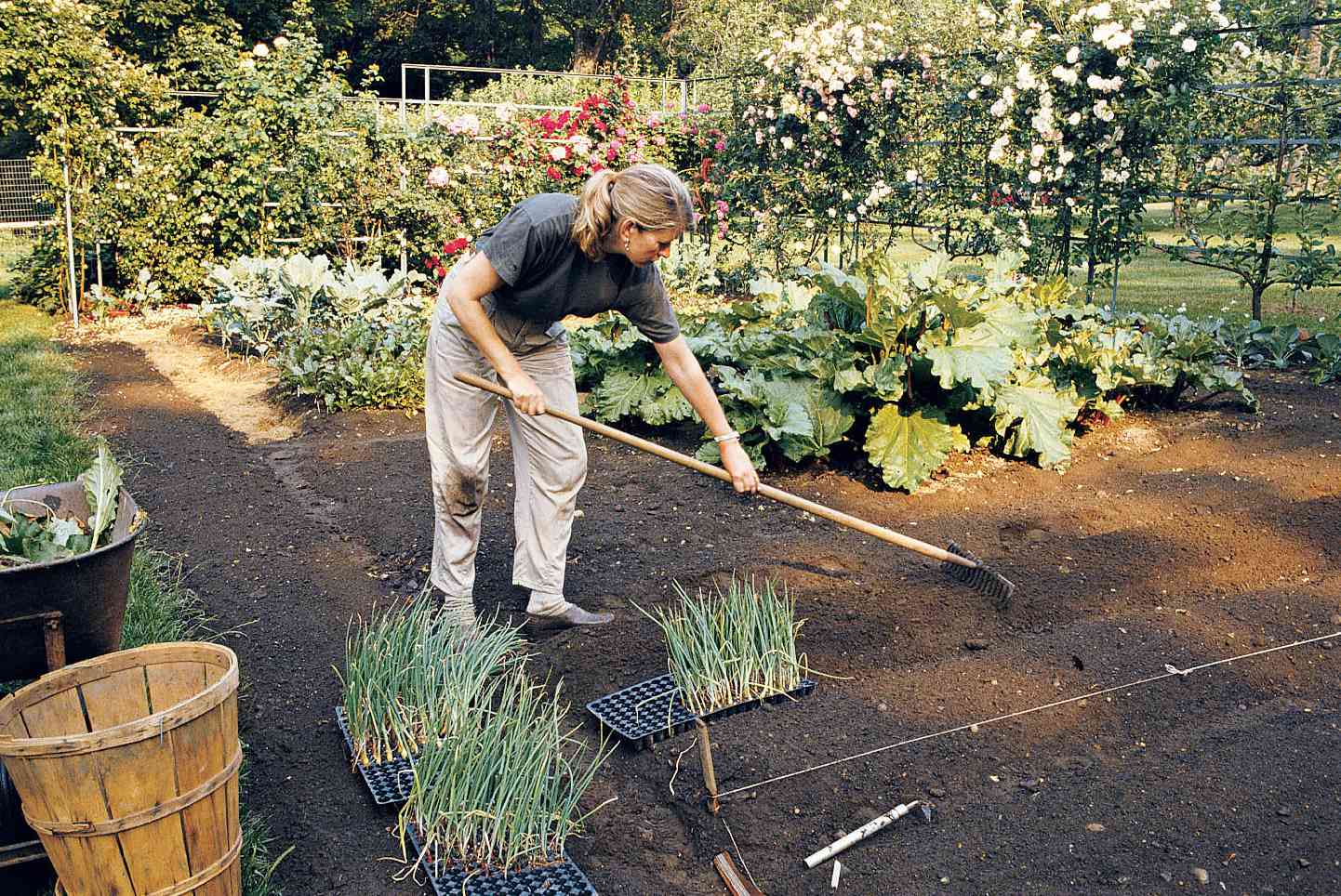 martha prepping the soul with garden rake