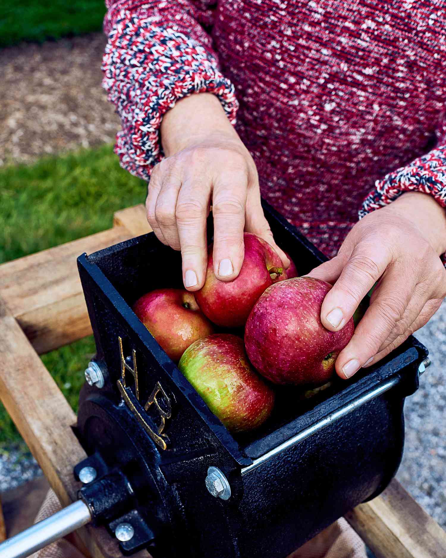 apple press with whole apples to be crushed