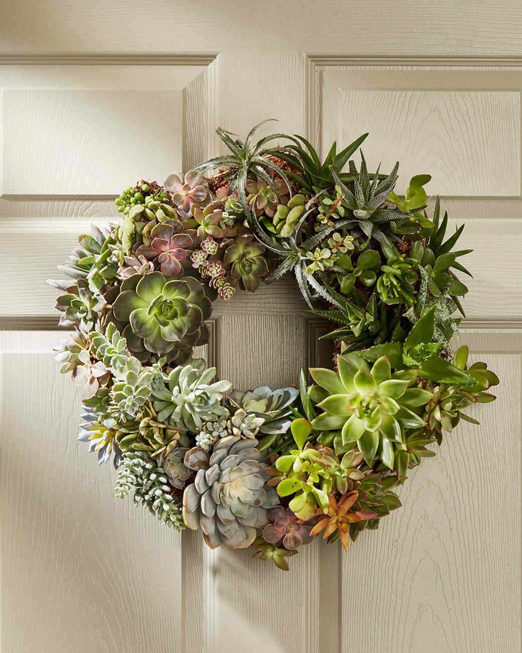 Succulent Wreath