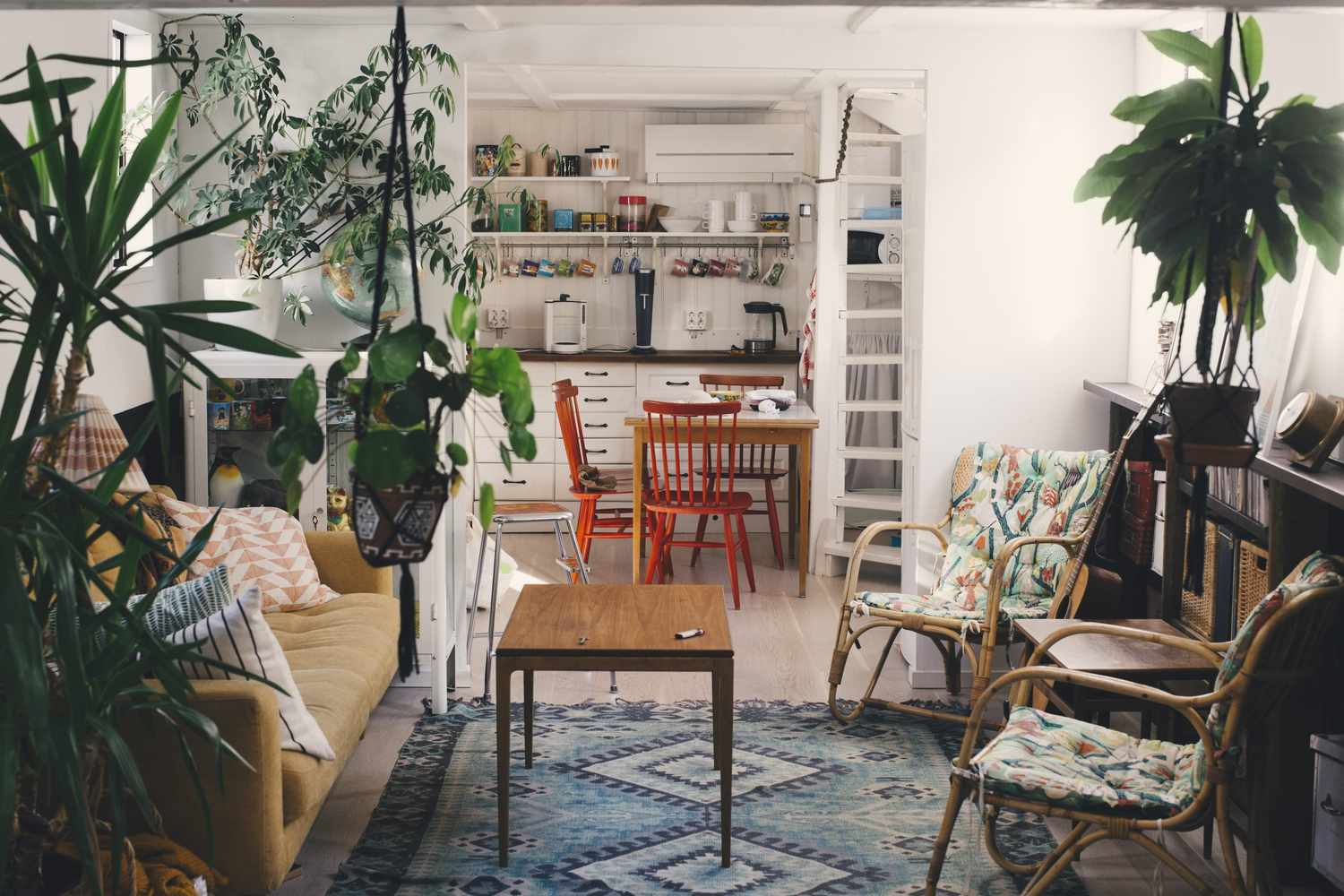 A cozy living room with plants wicker chairs and a view of a kitchen with a dining table and chairs