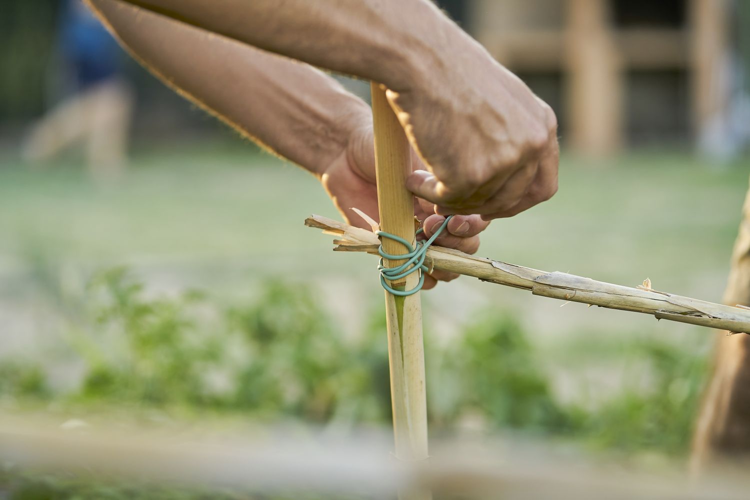 Hands tying a stick to a bamboo post with string outdoors