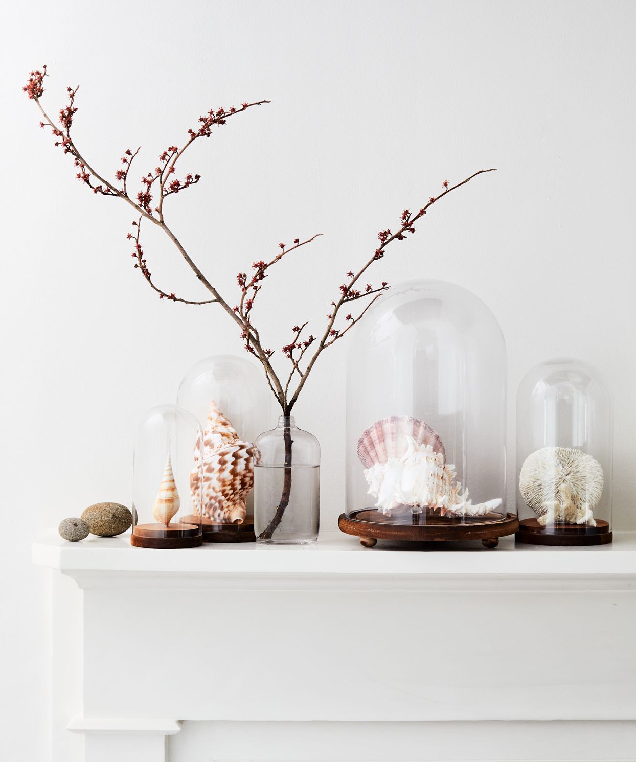 shell display mantel