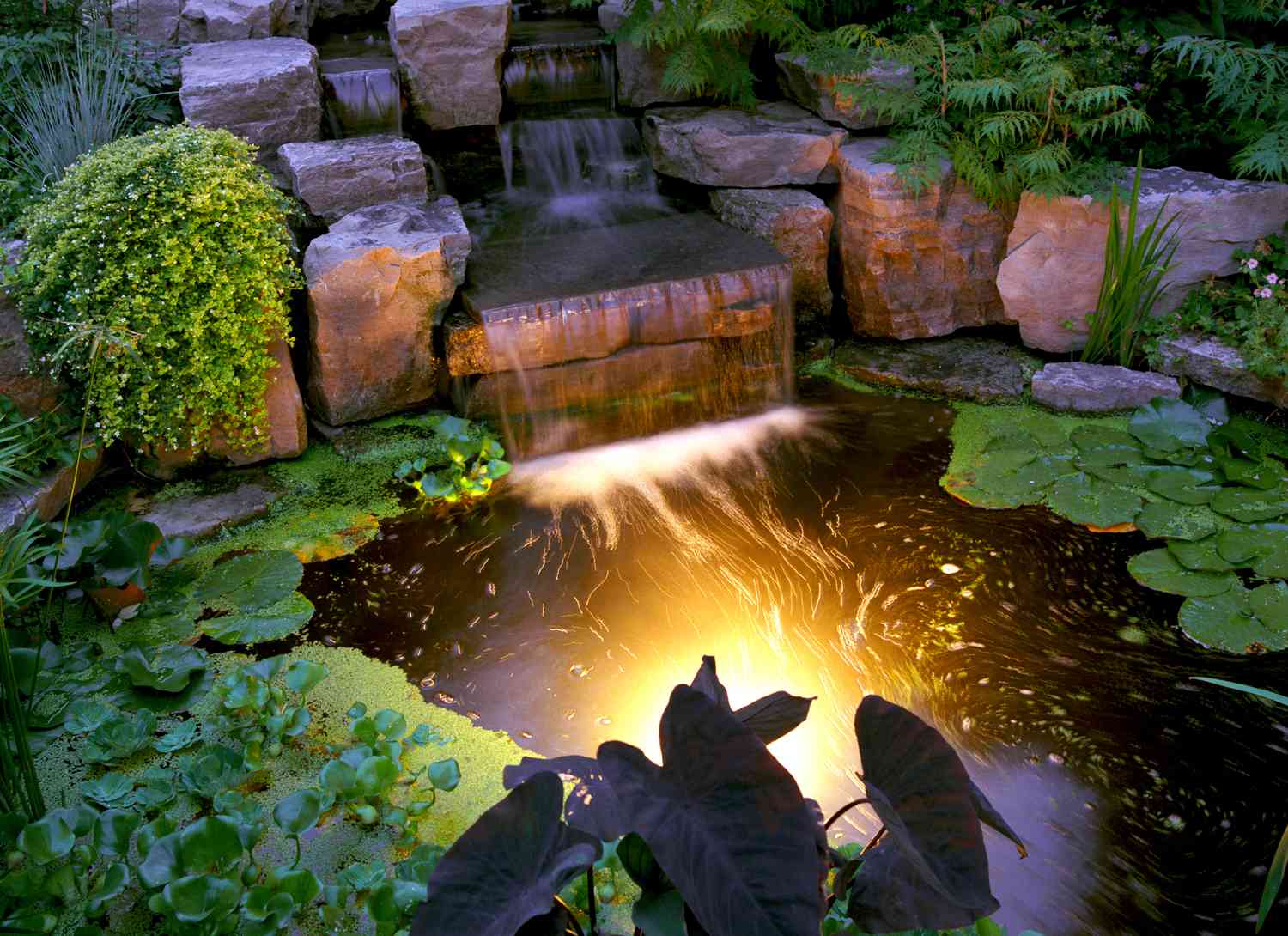 koi pond lit up at night