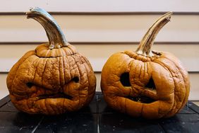 Two carved pumpkins with expressive faces placed side by side showing signs of aging and decay