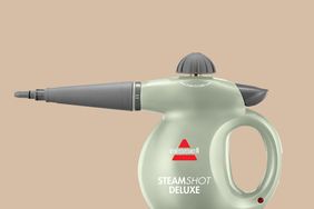 steam cleaner