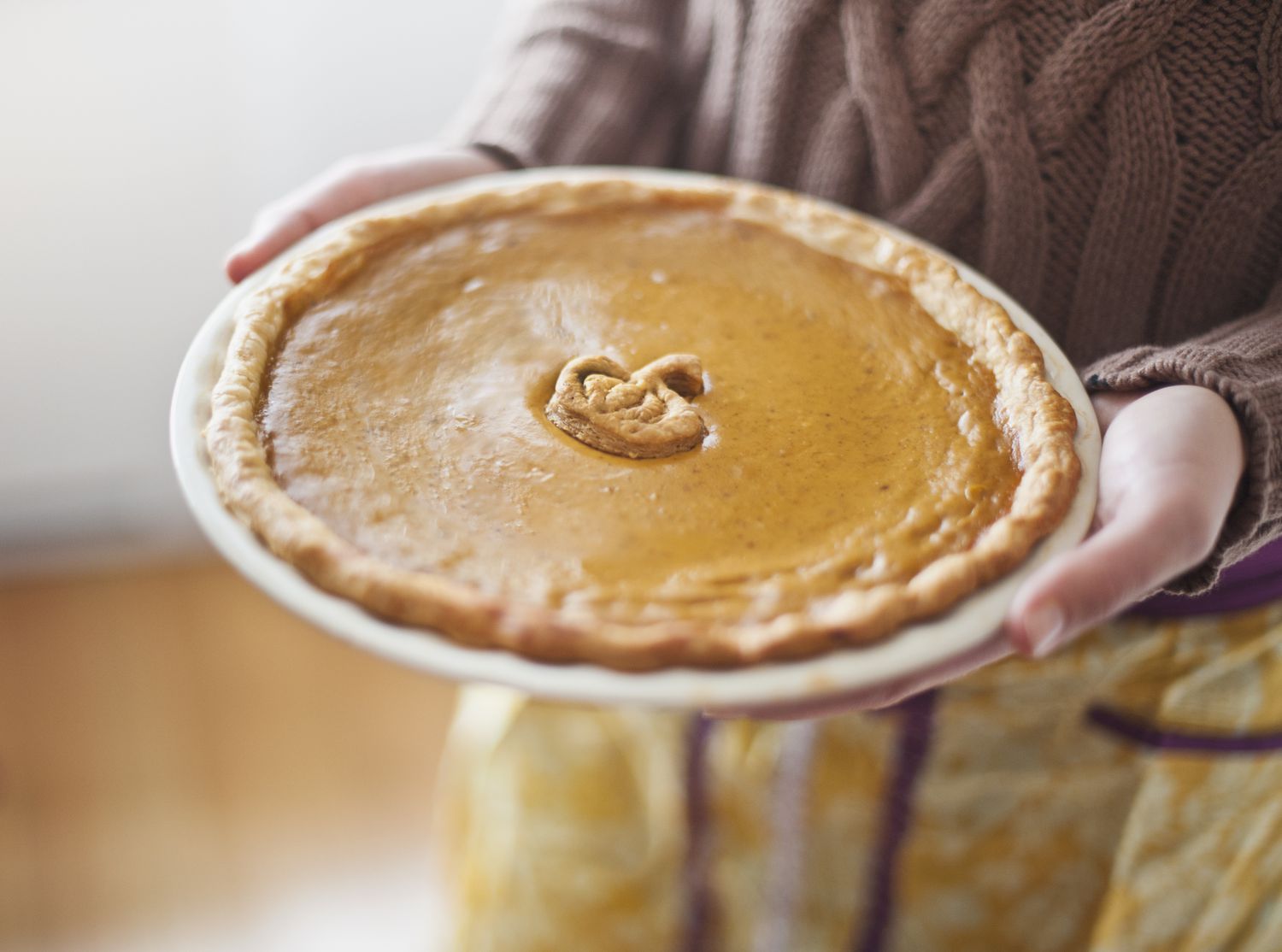 USA, New Jersey, Jersey City, close up of woman holding pumpkin pie