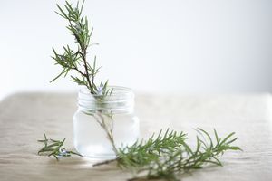 A sprig of rosemary placed in a glass jar filled with water on a cloth-covered surface