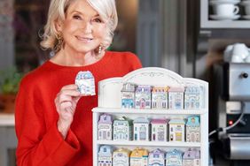 decorvow holding a small model house in front of a display of miniature house models