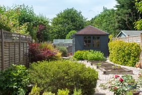 A garden with a shed plants and fencing in an outdoor setting