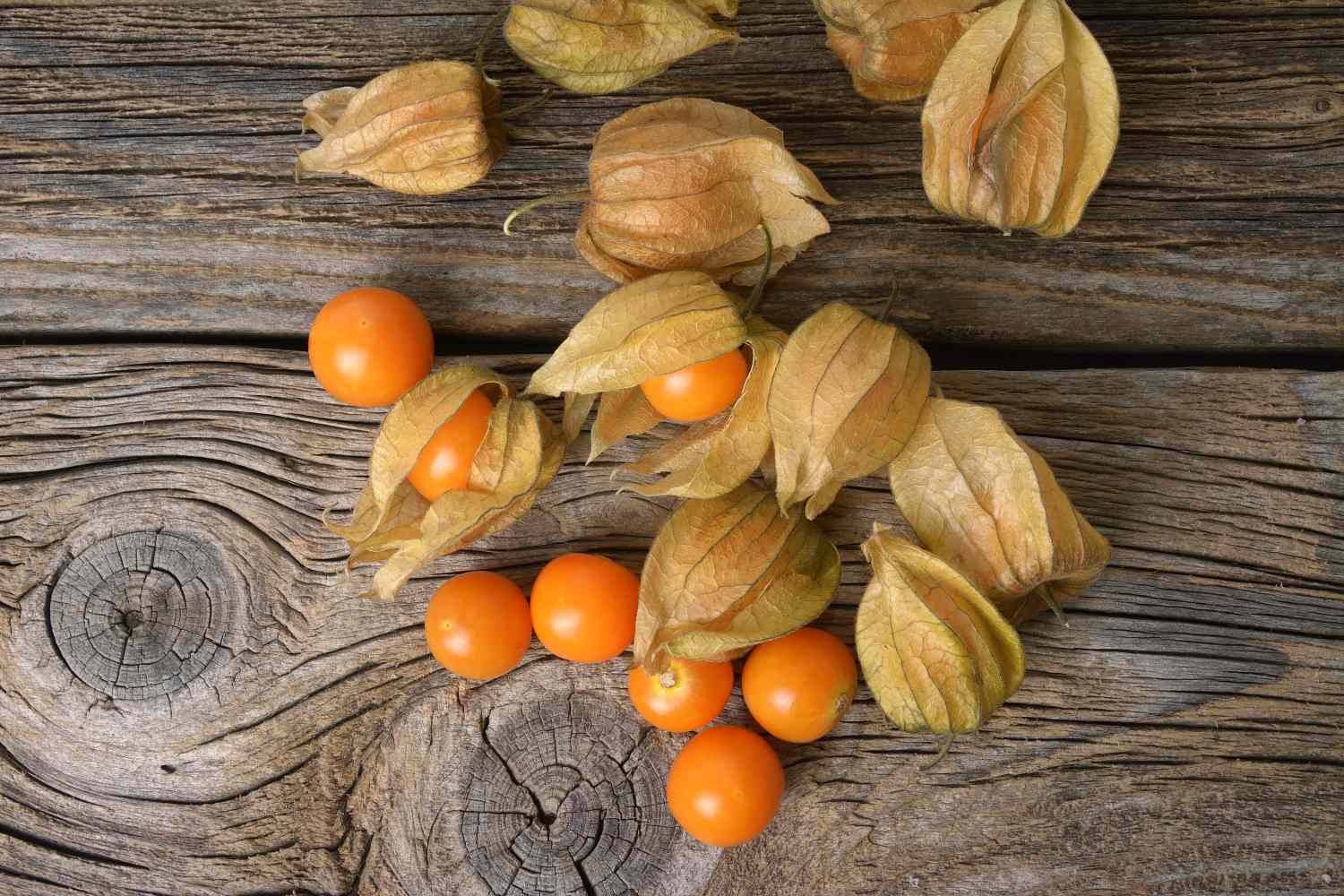 golden berries or cape gooseberries on wooden surface