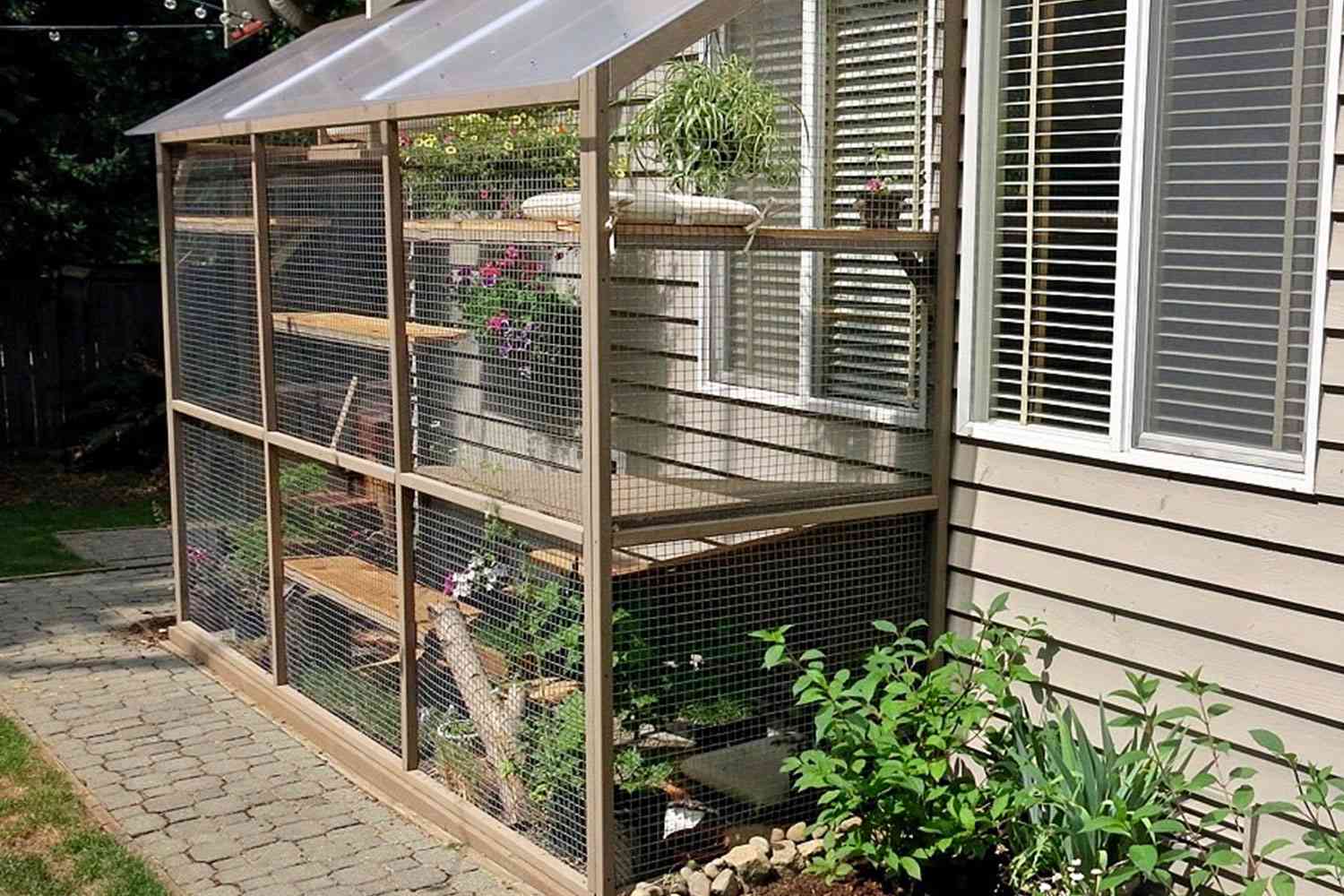 Ground level catio