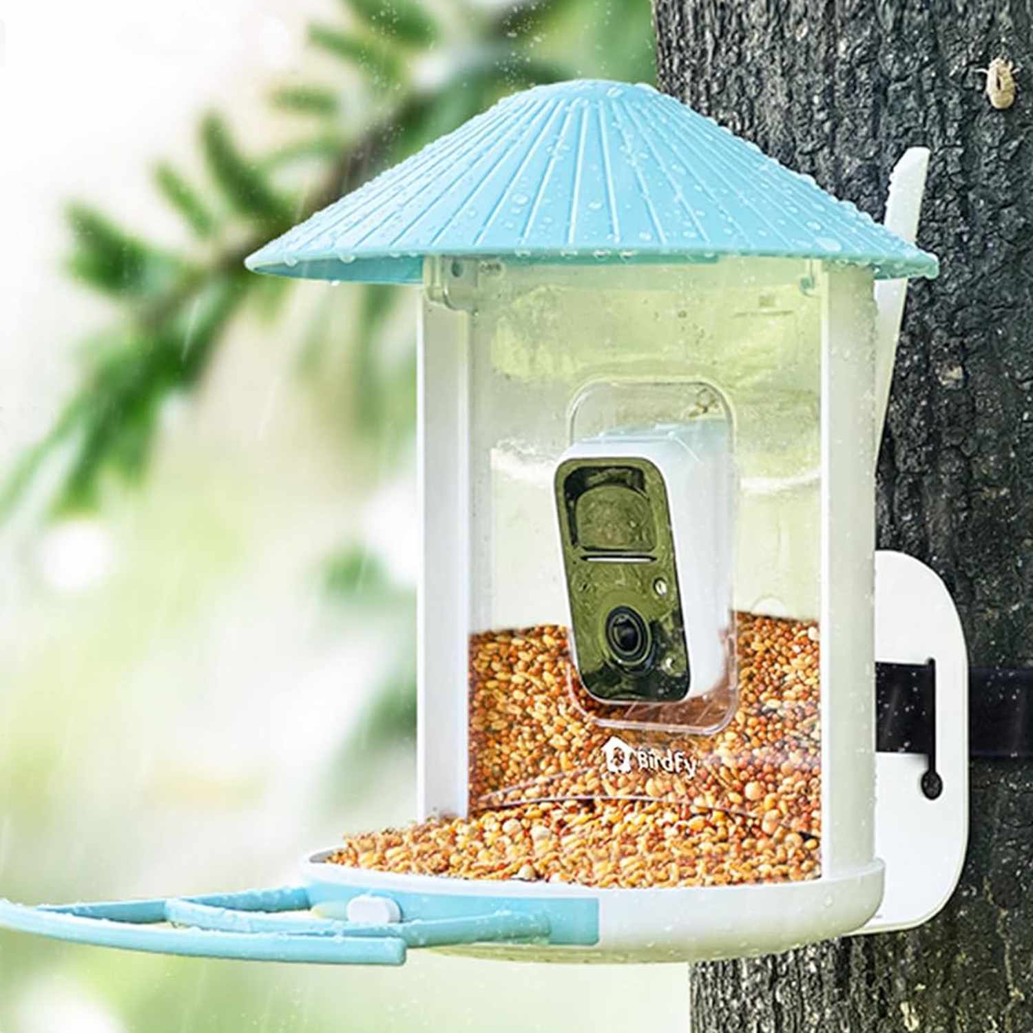 Birdfy AI smart bird feeder