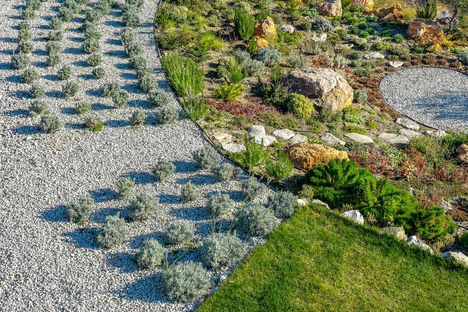 alternative lawn with grasses, lavender bushes succulents, and rocks