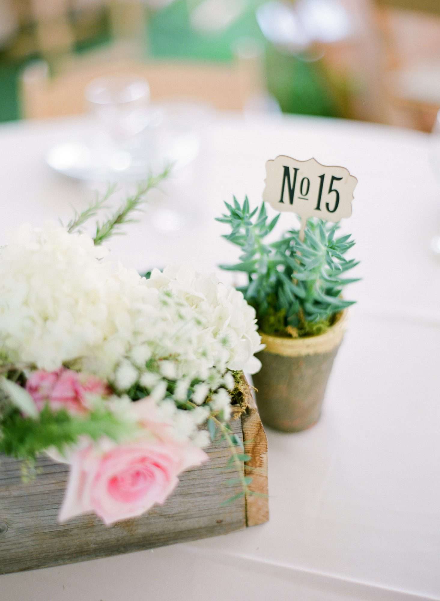 Succulent potted plant table number with vintage sign