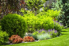 beautiful backyard flower garden