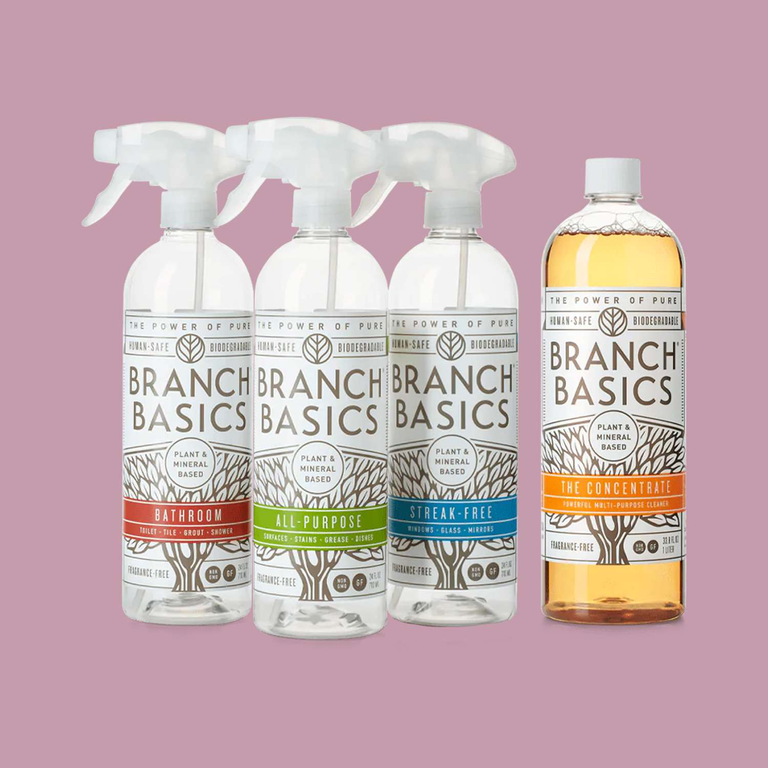 Branch Basics Cleaning Essentials Kit