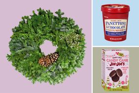 A wreath of greenery Trader Joes Panettone and Chocolate Ice Cream and Candy Cane JoeJoes cookies arranged on a pastel background