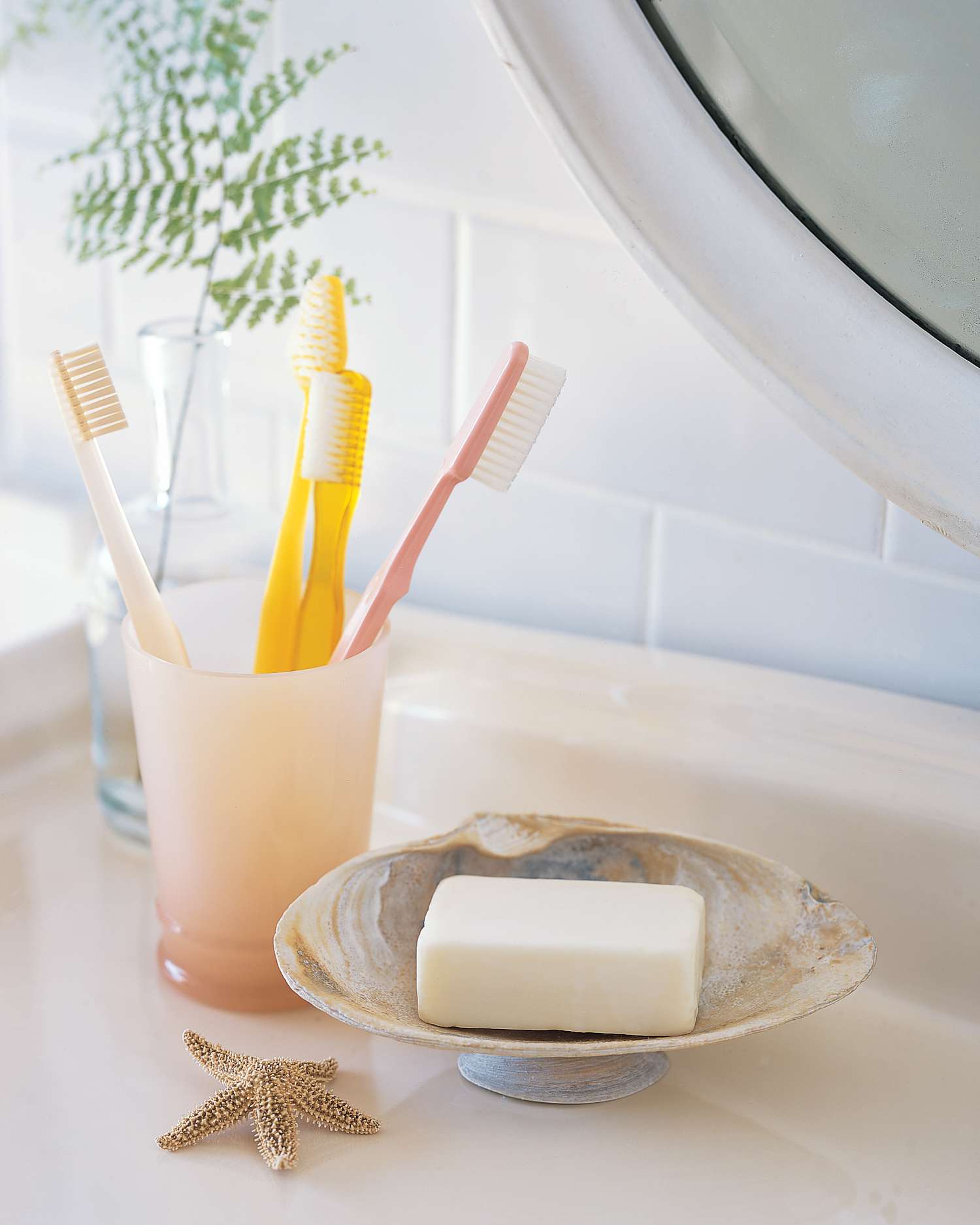 seashell soap dish in bathroom
