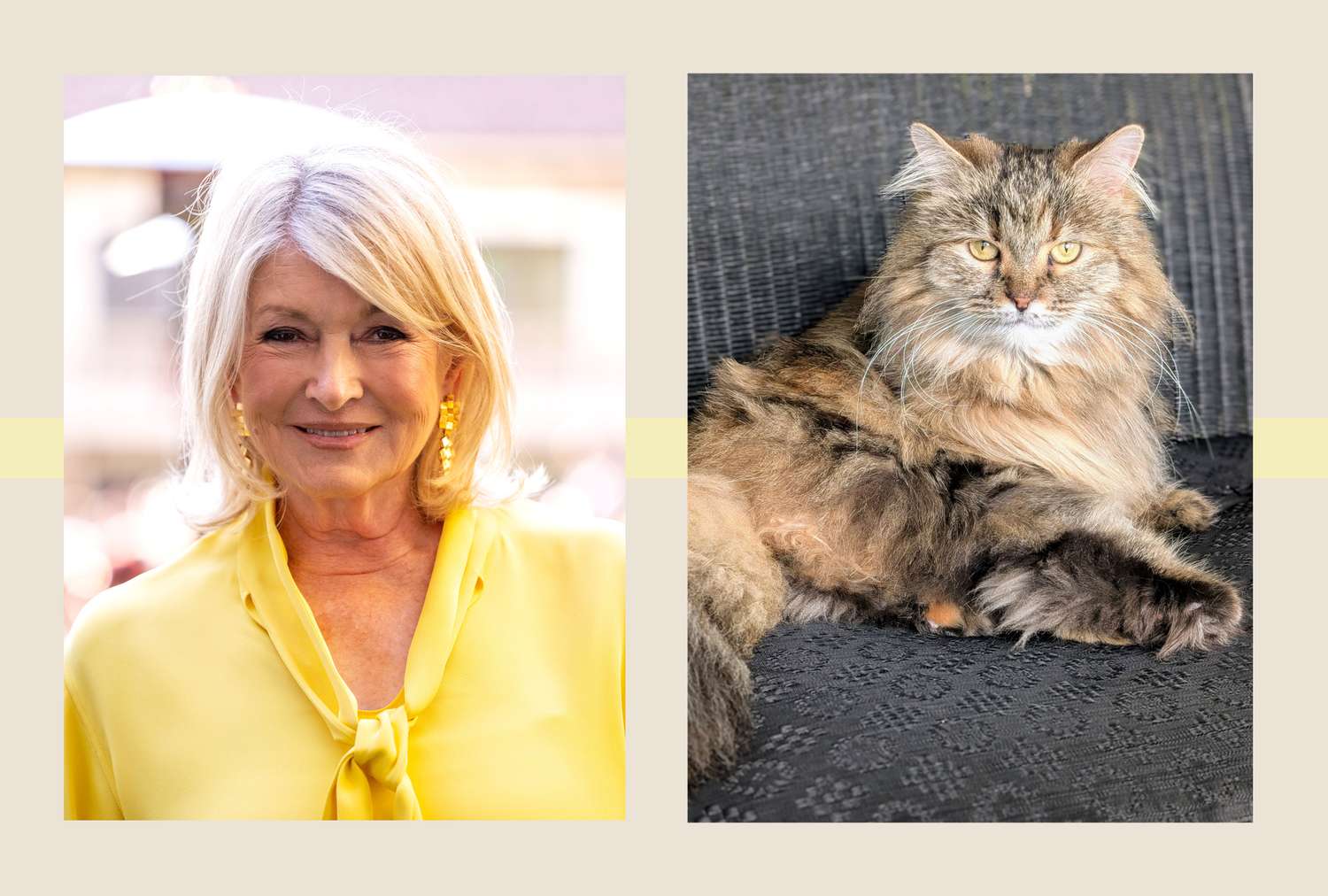 decorvow and Parisian Car