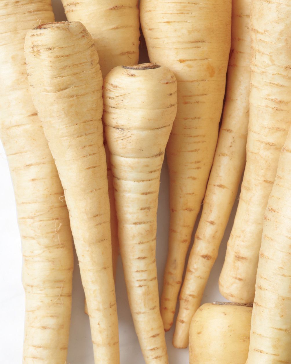 in-season-parsnips-001c-med108875.jpg