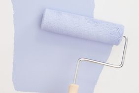 roller brush wall paint