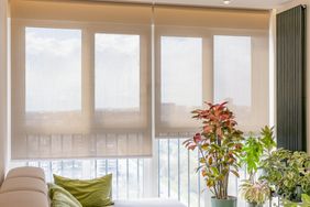 Living room area with a sofa indoor plants and large windows with blinds